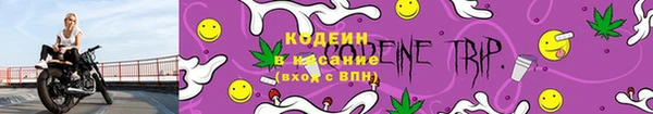 кокс Богородицк